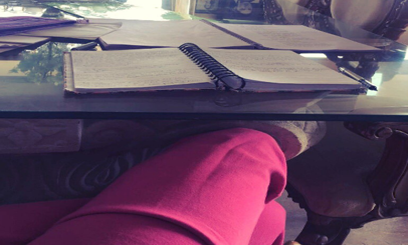 فلم حسینہ کیلئے' حسینہ' کی تیاریاں