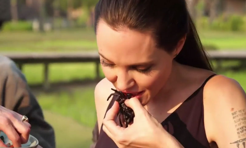 اینجلینا جولی نے تلی ہوئی مکڑی کھا کر سب کو حیران کردیا