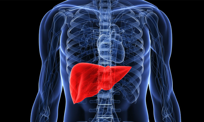 ان 5 علامات سے ظاہر ہوتا ہے آپ کا جگر خطرے میں ہے