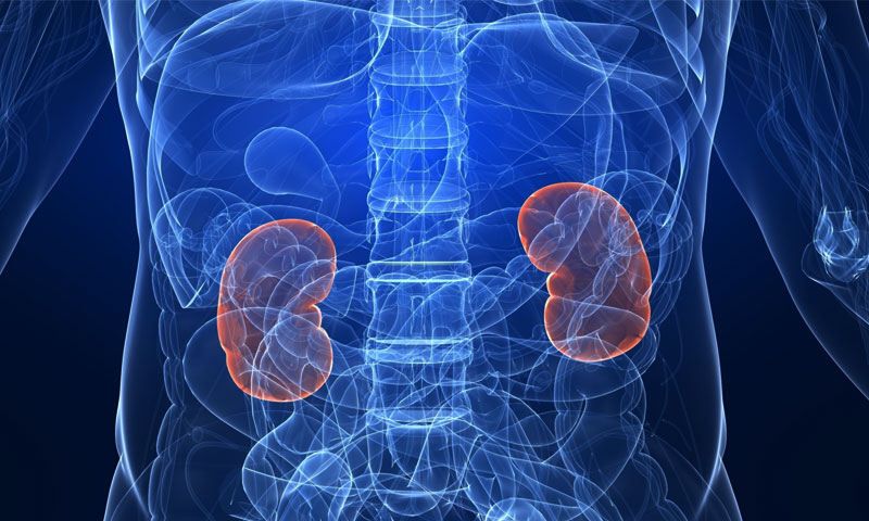 ان 5 علامات ظاہر ہوتا ہے آپ کےگردے خطرے میں ہیں