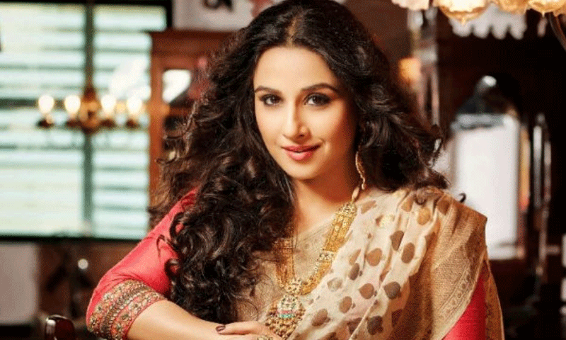 ہم عوامی شخصیت ہیں،عوامی جائیداد نہیں،ودیا بالن