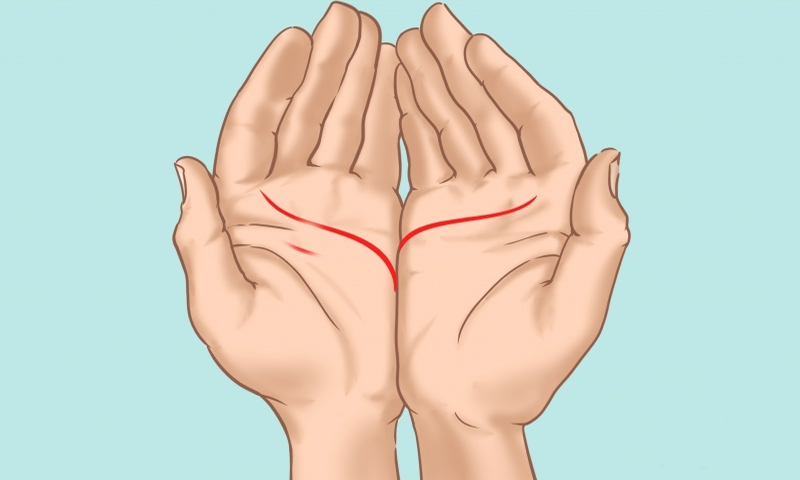 آپ کے ہاتھ کی لکیریں آپ کے بارے میں کیا کہتی ہیں؟