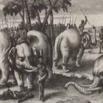 دنیا میں موجود سزائے موت دینے کے 10 انتہائی خطرناک طریقے