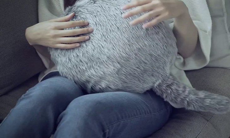کیا آپ دُم والا تکیہ خریدیں گے؟