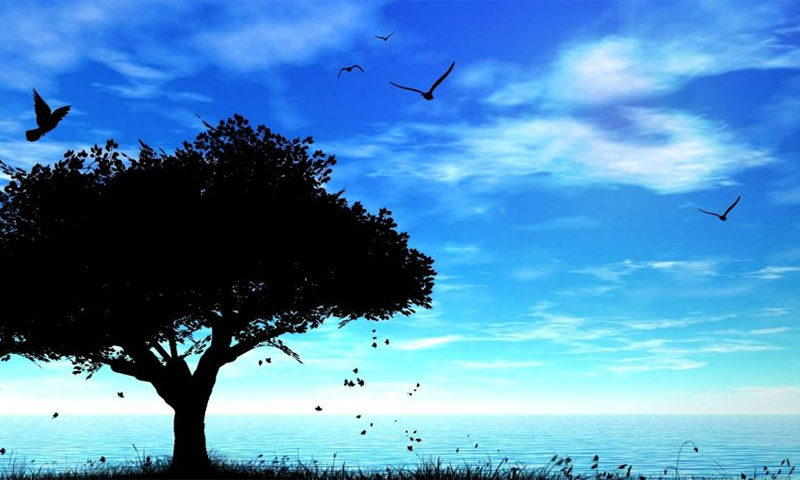 رزق خود چل کر آتا ہے