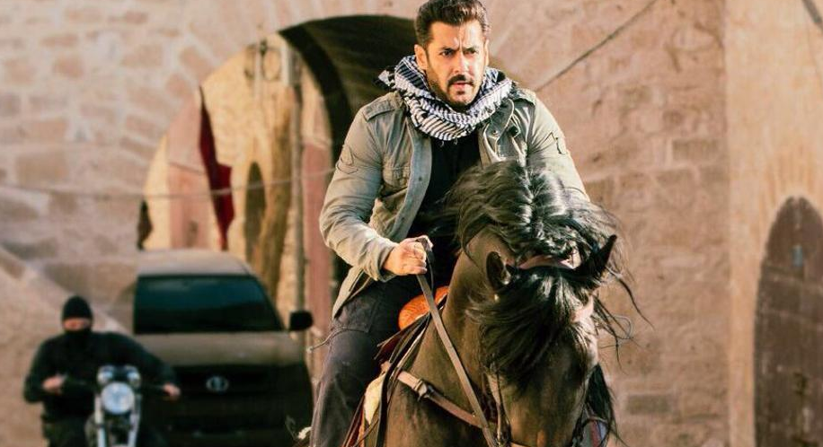 فلم ٹائیگر زندہ ہے کی سلو بھائی کی متاثرکن نئی تصویر