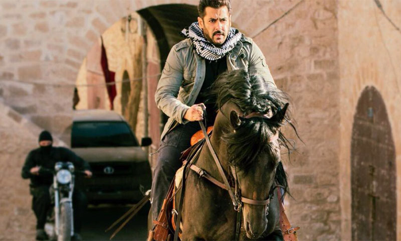 سلو بھائی کی فلم ٹائیگر زندہ ہے کی بعض دلکش تصاویر