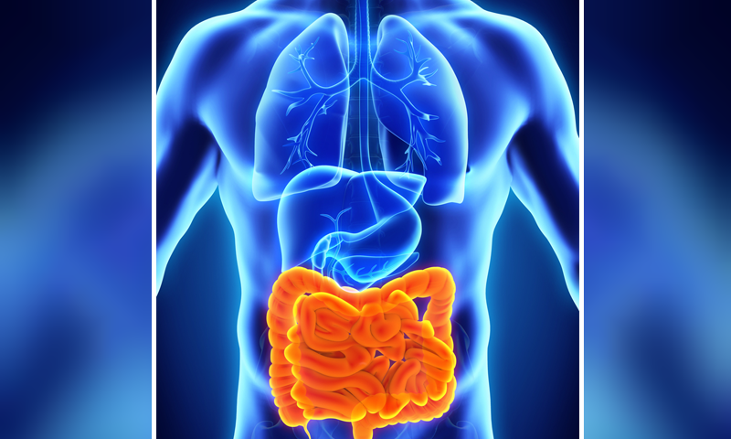 آنتوں کی کمزوری دور کرنے کے 4 آسان طریقے