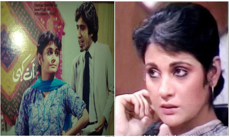 تنہائیاں ڈرامے کی مشہور اداکارہ اب کہاں ہیں؟