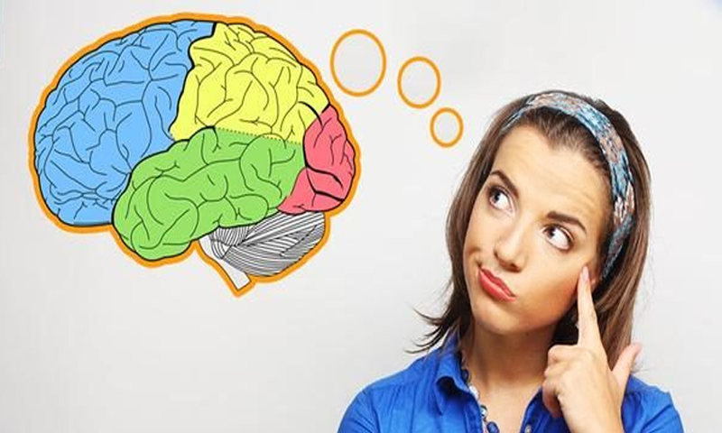 آج کا ٹوٹکا : دماغی صلاحیت بڑھانے اور بال گھنے کرنے کا آسان حل