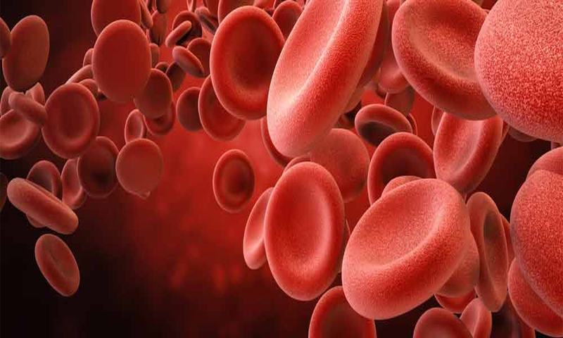 آج کا ٹوٹکا : فاضل مادوں کے اخراج اور خون کی کمی کا علاج