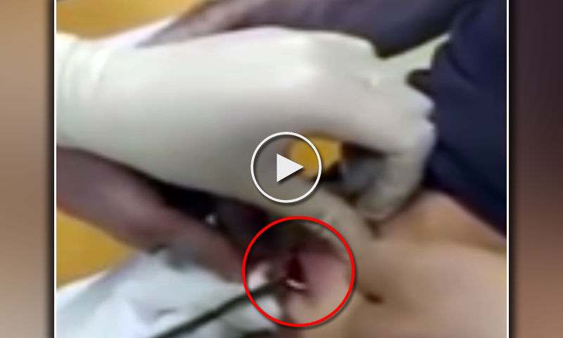 شادی کیلئے پروپوز کرنے کا احمقانہ طریقہ: ویڈیو دیکھیں