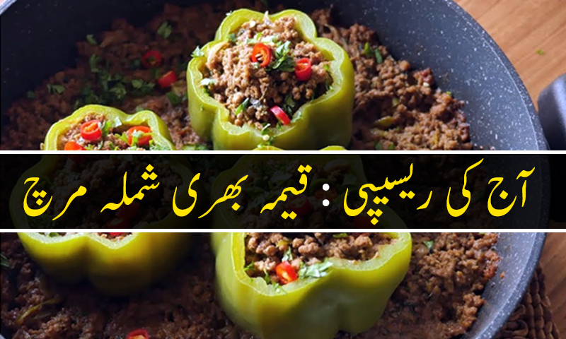 آج کی ریسیپی: قیمہ بھری شملہ مرچ