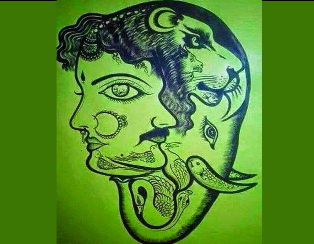 تصویر میں خرگوش تلاش کرکے بتائیں ؟