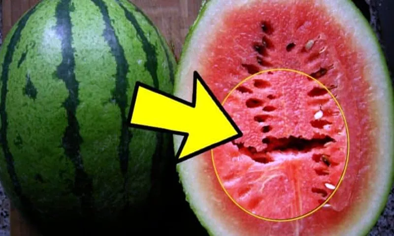 ایسے نشان والا تربوز کبھی نہ کھائیں، فوراً پھینک دیں