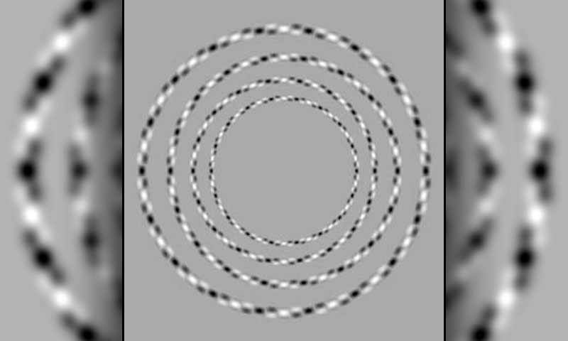 اس تصویر میں کُل کتنے دائرے ہیں؟