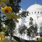 چیچنیا میں یورپ کی سب سے بڑی مسجد کا افتتاح