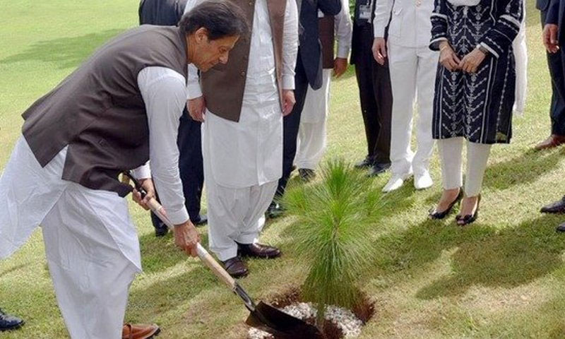 وزیراعظم نے کندیاں میں پودا لگا کر شجر کاری مہم 2020 کا افتتاح کر دیا