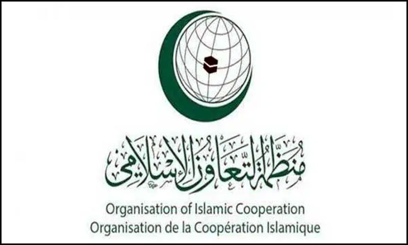اوآئی سی نےامریکی صدرکاپیش کردہ مشرقِ اوسط امن منصوبہ مسترد کردیا