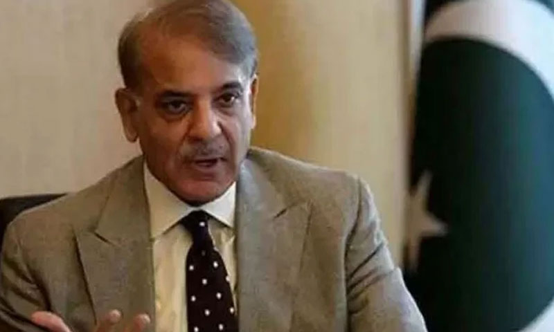 ملک سے کہیں نہیں جاونگا، شہباز شریف