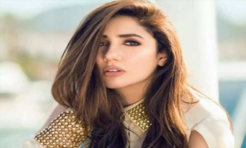'کبھی سوچا ہے نوٹ پر قائدِ اعظم کی تصویر کیوں ہے؟'